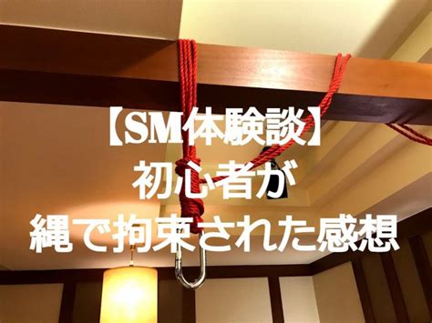 sm 体験 談